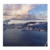 Scapeside which side window seat view